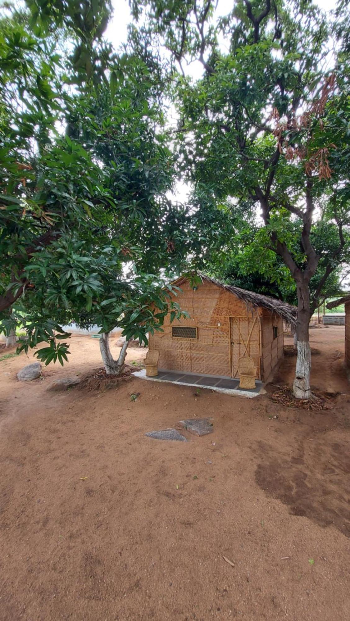Sunrise Guest House & Restaurant Hampi Rom bilde